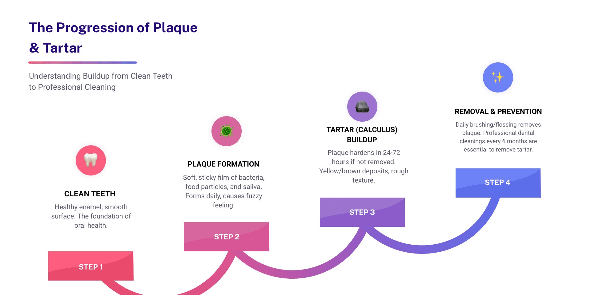 Comprehensive infographic showing the progression from clean teeth to plaque formation to tartar buildup, including timeline of development, visual comparison of healthy vs. affected teeth, and the distinction between what can be removed at home versus what requires professional treatment - Plaque and Tartar Removal infographic step-infographic-4-steps