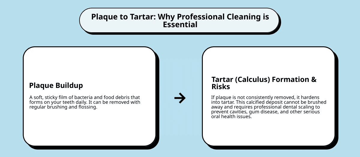 Infographic showing the progression from plaque buildup to tartar formation, illustrating why professional dental cleaning is necessary to remove hardened tartar that regular brushing cannot eliminate, with visual comparison of healthy teeth versus teeth with plaque and tartar buildup - Teeth cleaning cost infographic cause_effect_text